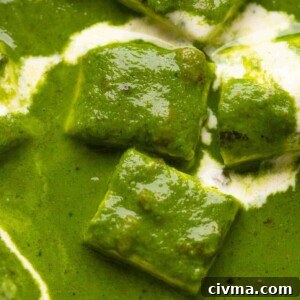 Closeup of the palak paneer gravy to show the luxurious, rich curry base