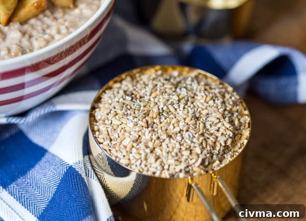 Overnight Cinnamon Apple Steel Cut Oatmeal