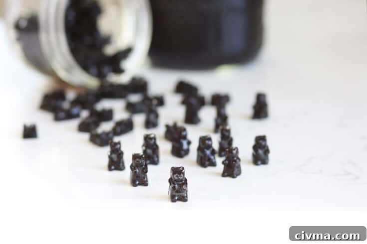 elderberry gummies recipe image