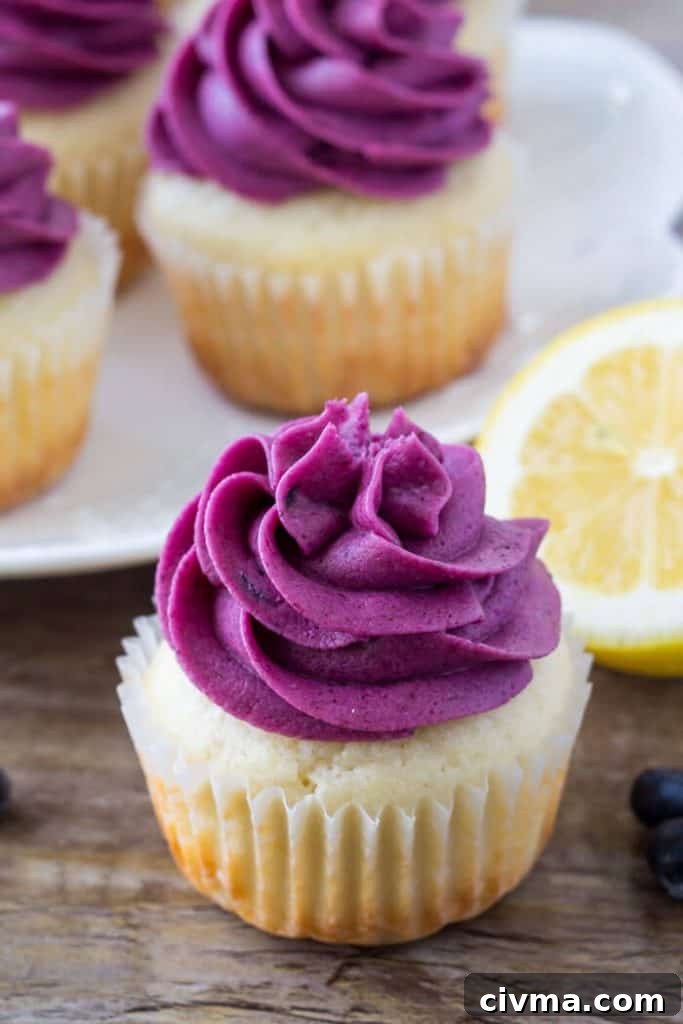 Tart lemon and juicy blueberries are the perfect combo. Turn them into something extra special with these lemon blueberry cupcakes.
