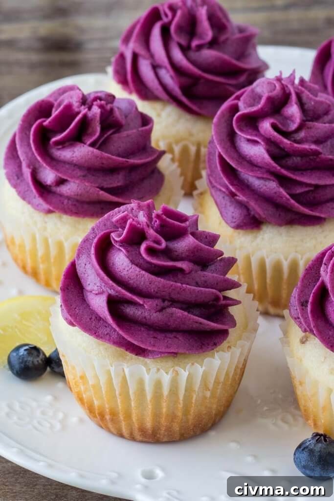 Tart lemon and juicy blueberries are the perfect combo. Turn them into something extra special with these lemon blueberry cupcakes.