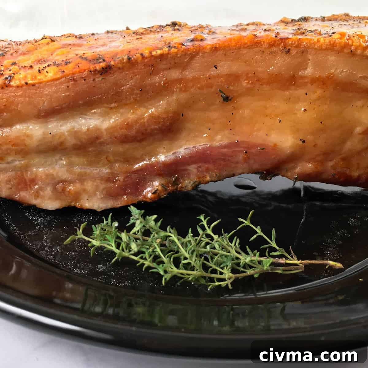 pork belly in air fryer results