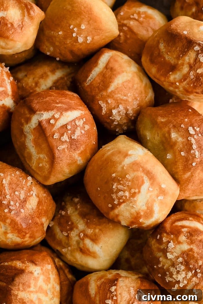 Homemade Soft Pretzel Bites Recipe 4 Dozens of soft pretzel bites topped with coarse sea salt.