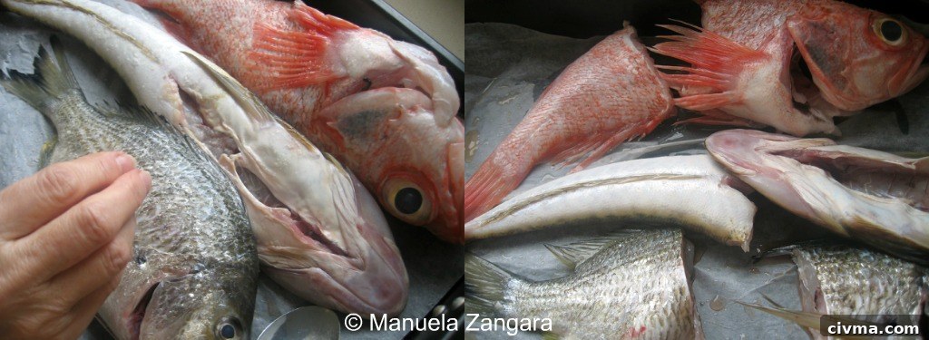 Collage 2 Straining fish stock