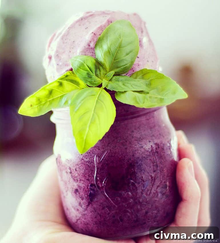 Blueberry Basil Nice Cream (Dairy-Free, Fruit-Sweetened, Raw)