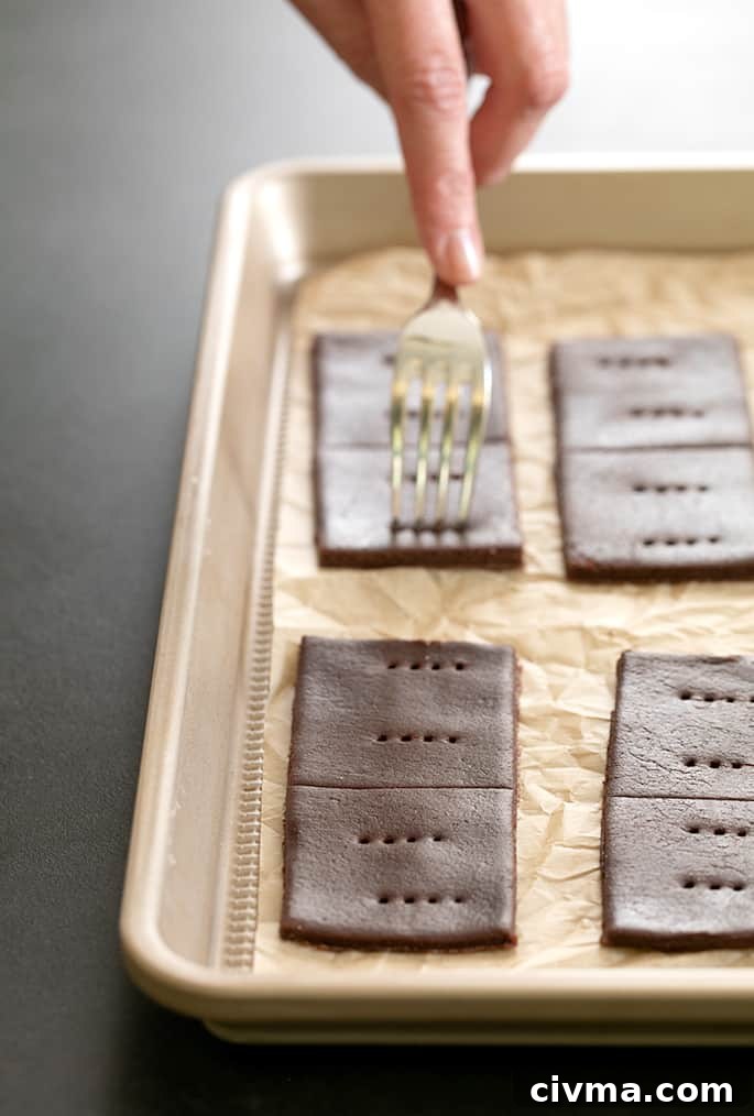 Gluten free chocolate graham crackers raw being docked