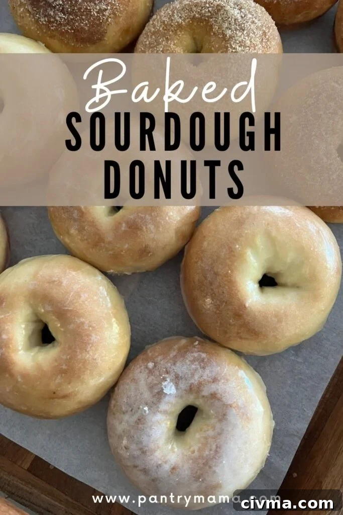 Baked Sourdough Donuts Recipe 12 Baked Sourdough Donuts - Pinterest Image