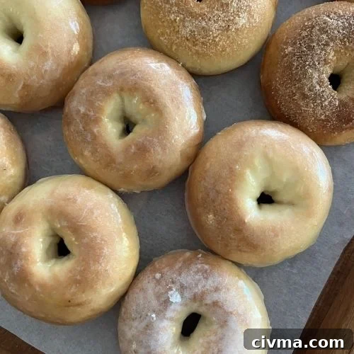 Baked Sourdough Donuts Recipe 13 Baked Sourdough Donuts - Feature Recipe Image