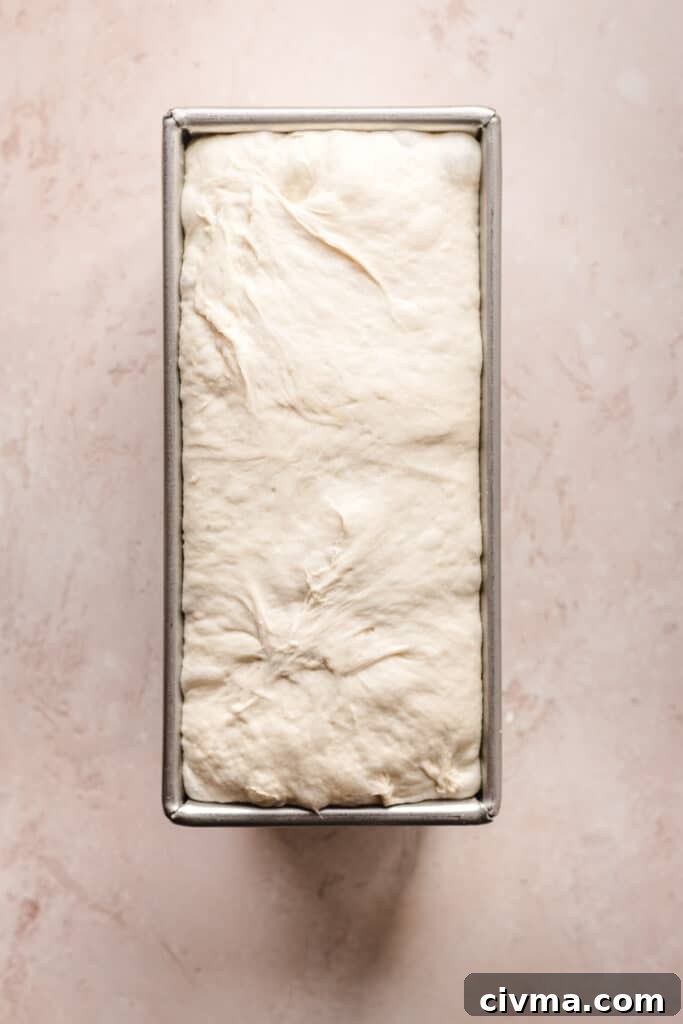 Homemade English Muffin-Style Sandwich Bread Recipe 6 Letting your English muffin bread dough rise before baking helps to make all those little air pockets.
