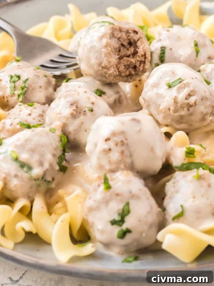 17 Flavor-Packed Recipes with Frozen Meatballs 11 img 13141 14