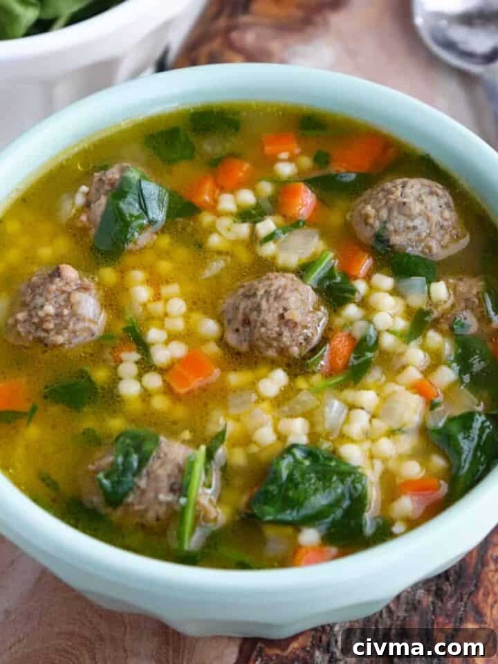 17 Flavor-Packed Recipes with Frozen Meatballs 14 img 13141 17