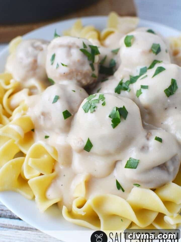 17 Flavor-Packed Recipes with Frozen Meatballs 15 img 13141 18