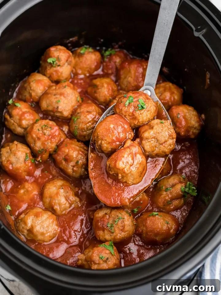 17 Flavor-Packed Recipes with Frozen Meatballs 9 img 13141 9