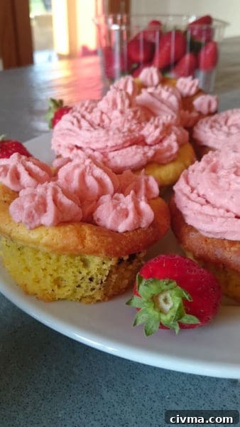 Mascarpone Chocolate Chip Muffins with Strawberry Icing 2 mascarpone & chocolate chip muffins with strawberry icing