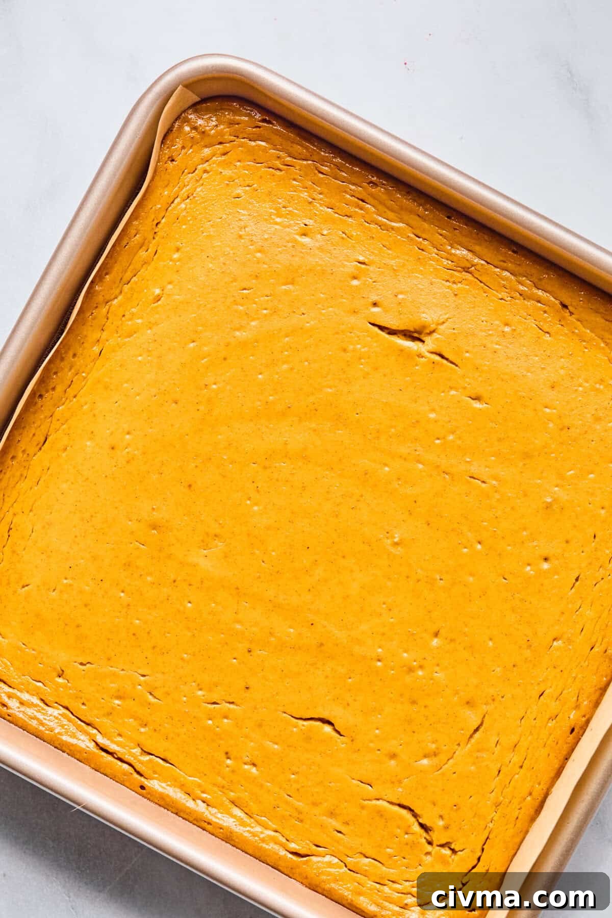 pumpkin cheesecake bars in a pan