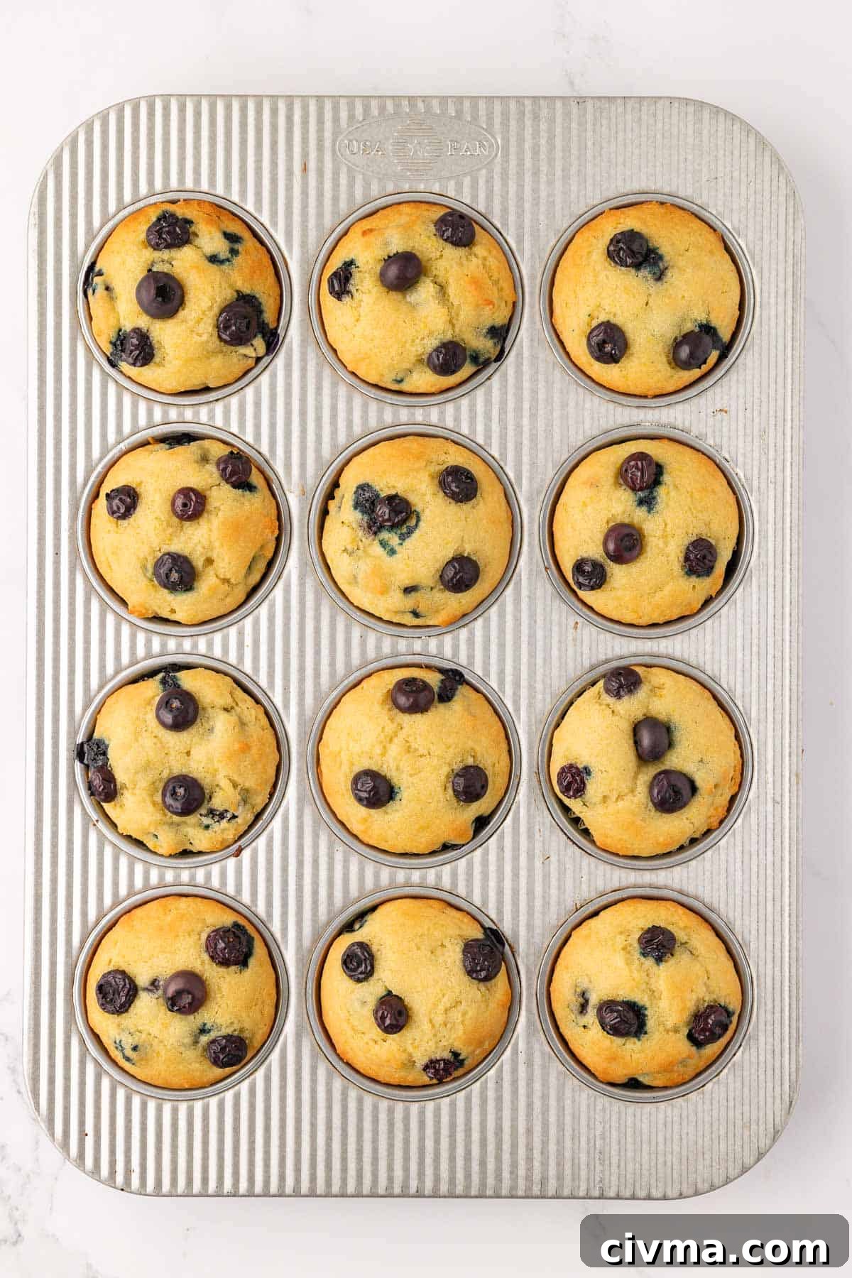 Moist Sour Cream Blueberry Muffins Recipe 13 blueberry muffins in a muffin tin