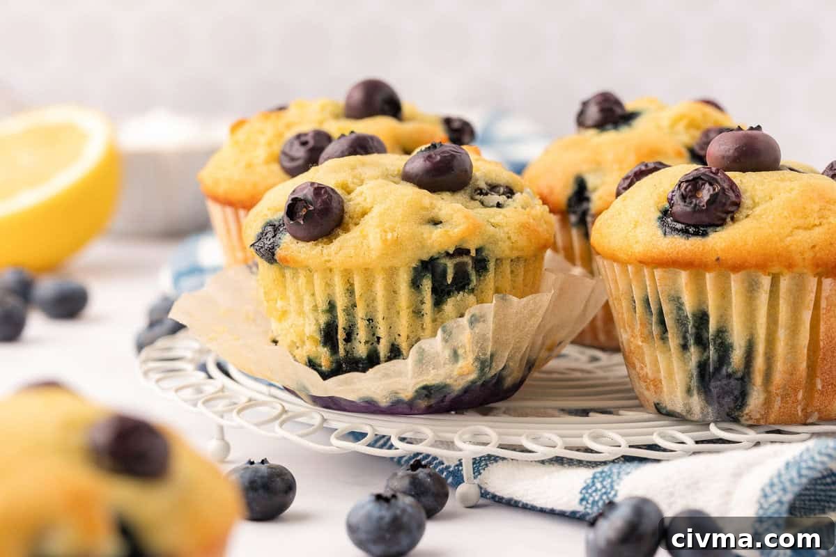 Moist Sour Cream Blueberry Muffins Recipe 15 blueberry muffins on a decorative plate