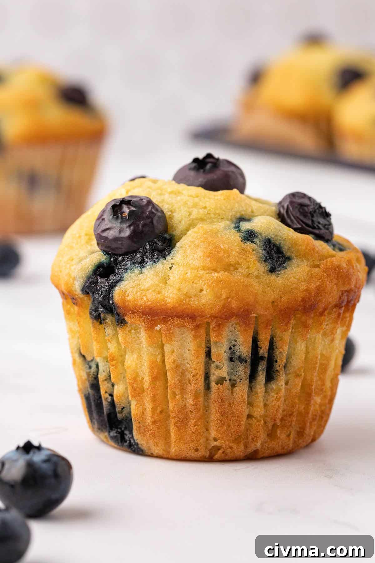 Moist Sour Cream Blueberry Muffins Recipe 3 blueberry muffin