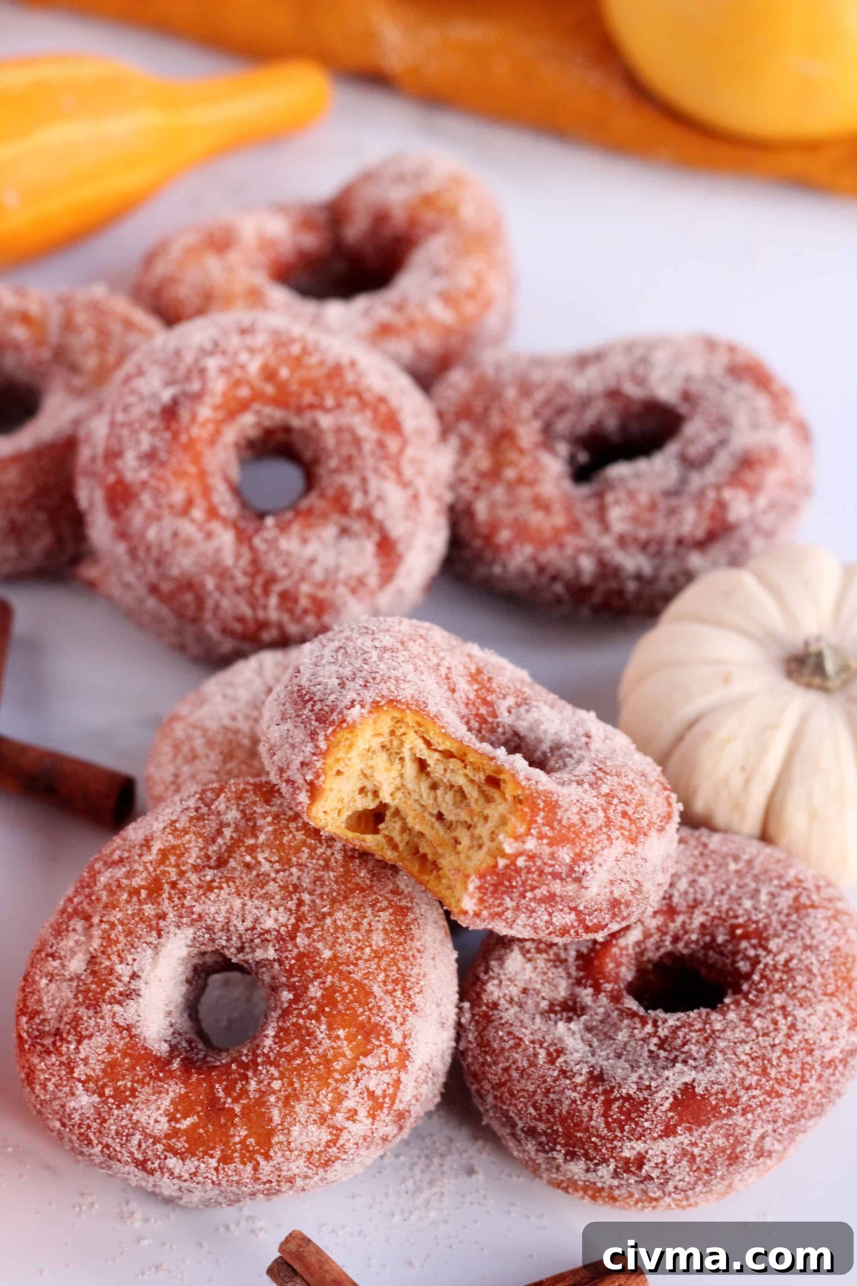 pumpkin donuts doughnut