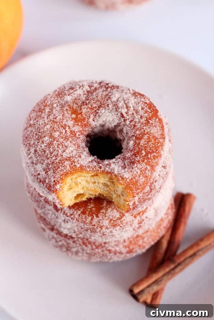 pile of three donuts the first one has a bite