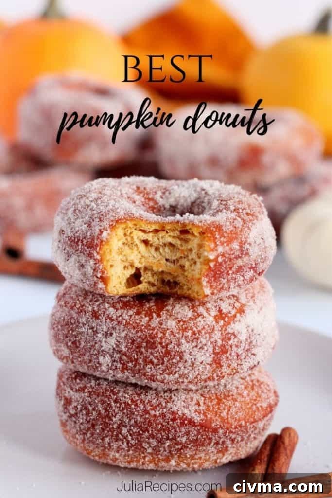 pumpkin donuts with pinterest graphics