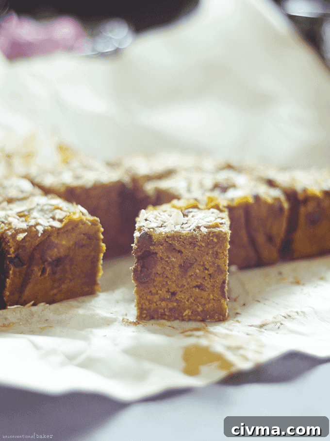 Chocolate Chip Anise Pumpkin Oaties {Free from: gluten, dairy, eggs, refined sugars, gums, and oil}