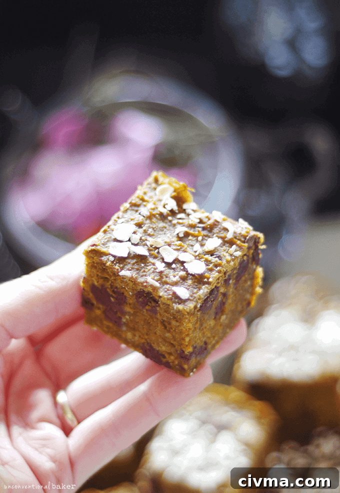 Chocolate Chip Anise Pumpkin Oaties {Free from: gluten, dairy, eggs, refined sugars, gums, and oil}