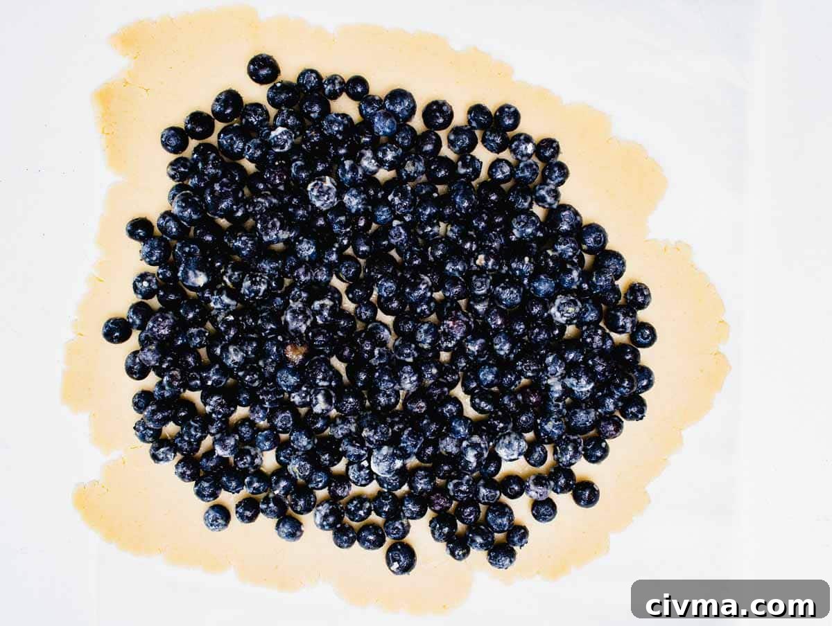 blueberries on pie crust