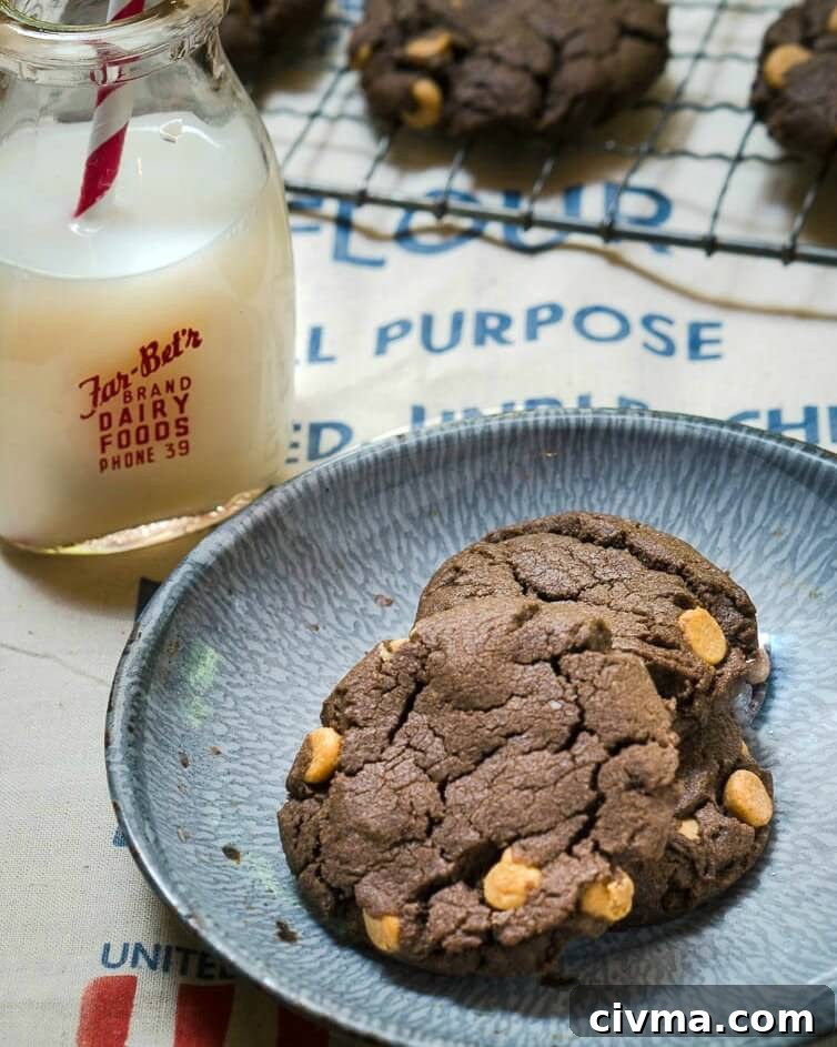 No Chill Dark Chocolate Peanut Butter Cookies